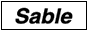 Minimalist button that matches the site style.