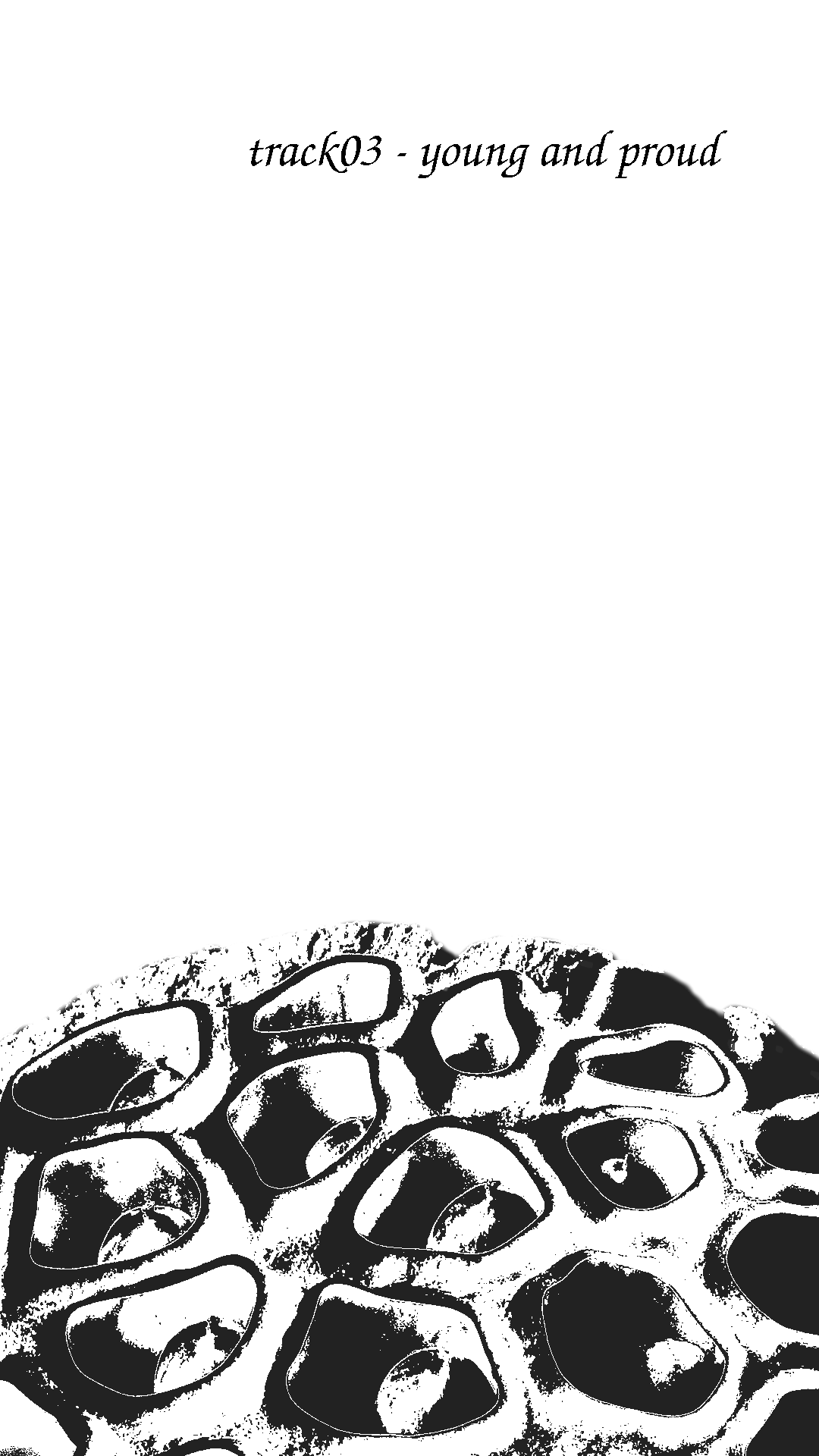 Plate for "TRACK 03": The TRACK title ("track03 - young and proud" is presented at the top of a blank white image in lowercase, serif font. Scrolling down the vertically-oriented image, one encounters a photocopy-style edit of a dried lotus seed pod, with seeds resting in their enlarged carpels. The image may produce either a trypophobic or religious response, based on the viewer's cultural background. The lotus pod emerges from the bottom of the image, mimicing a rising moon or other celestial body.